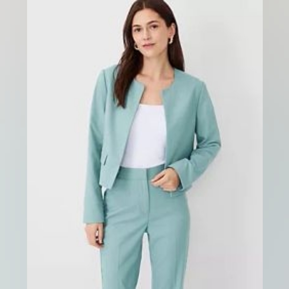 Ann Taylor Pastel Green Crew Neck Jacket Size 2